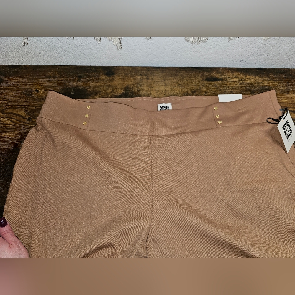 Anne Kline plus size pants
